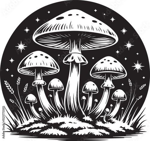 enchanted forest mushrooms under night sky with glowing stars in magical black and white silhouette illustration