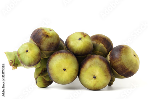 Young Borassus fruits in bunches. isolated on white background.