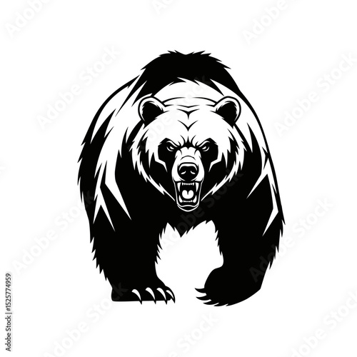A menacing black and white grizzly bear, isolated on white background, stands powerfully, its teeth bared in a ferocious snarl