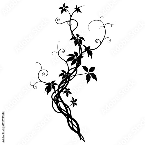 A sinuous black vine climbs elegantly, adorned with stylized leaves, isolated on white background