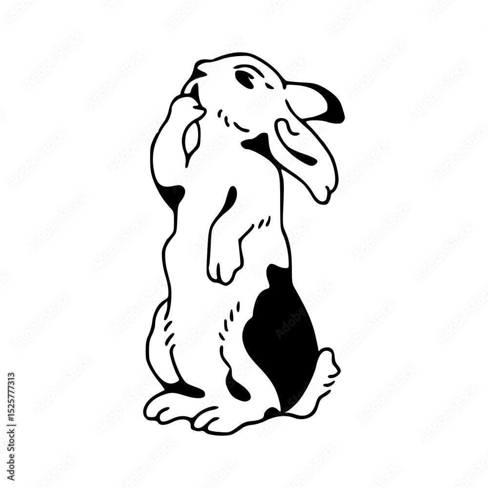 Obraz premium cute bunny standing up vector art