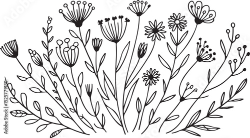 wildflower doodle illustration with delicate blooming floral stems in hand-drawn botanical black ink style on white background photo