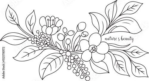 botanical floral arrangement in black and white with detailed leaves, blooming flowers, and elegant handwritten text 'nature’s beauty' photo