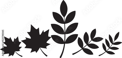 leaf silhouette collection featuring maple and oval foliage in natural arrangement with bold black botanical shapes