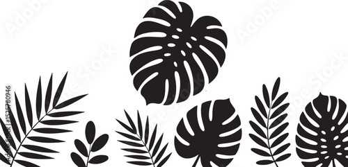tropical leaf silhouette collection with monstera and palm fronds arranged in black vector botanical styl
