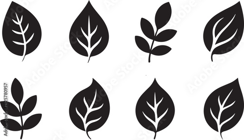 leaf silhouette collection featuring botanical elements with curved edges and visible vein lines in black vector style