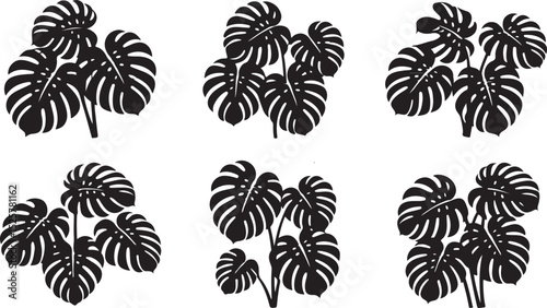 monstera leaf silhouette set with clustered tropical foliage, bold jungle plant icons for exotic botanical vector illustrations