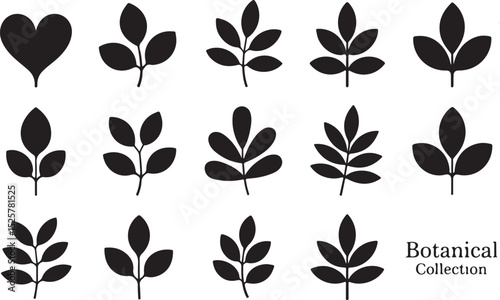 Botanical Collection Leaf Silhouettes – Bold Minimal Plant Icons Featuring Simple Foliage and Heart-Leaf Shapes