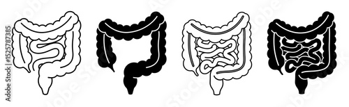 Four illustrations of the large intestine in black and white with varying levels of detail shown