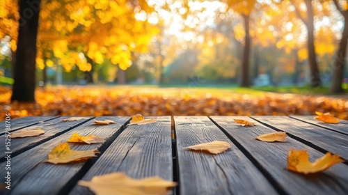 Autumn Leaves Falling on Wooden Table Top in Park