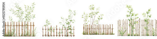 Bamboo fence surrounded by lush greenery