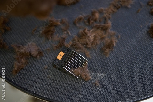 Hair grooming tools scattered on a table during pet grooming session