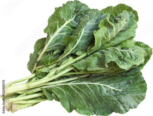 Collard Without Background