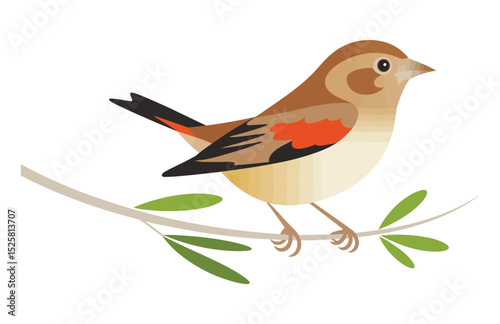 "Warbler in Lines: Minimalist Bird Vector Art"

