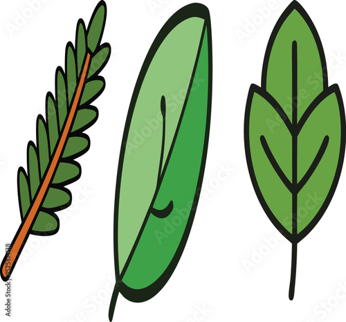 Eucalyptus and Cedar Bundle – Natural Greenery Collection