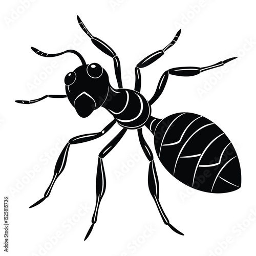 Ant SVG