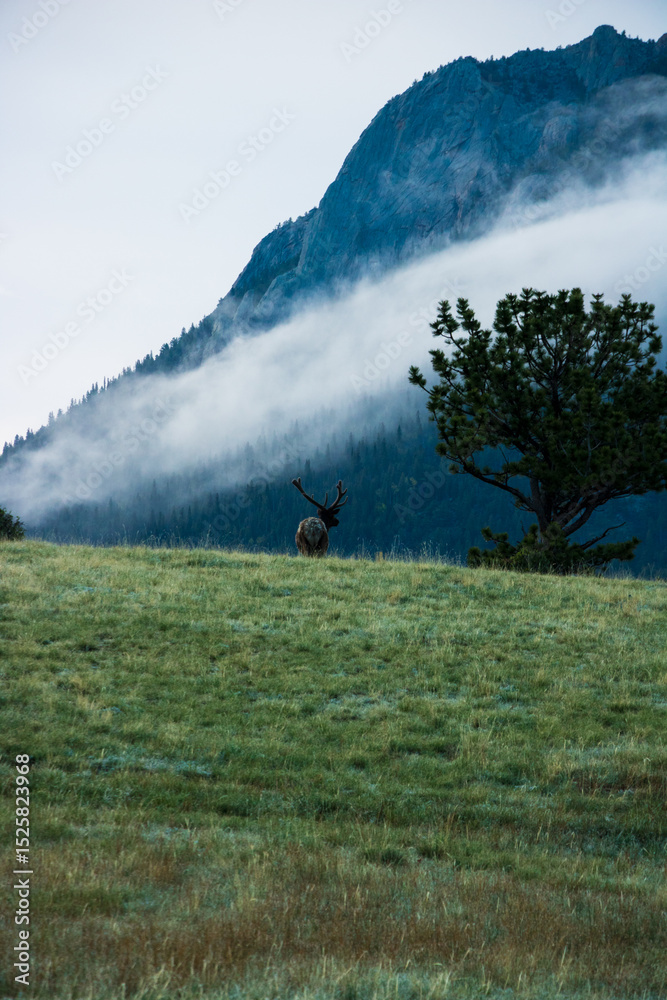 Obraz premium Scenic mountain landscape at Rocky Mountain National Park