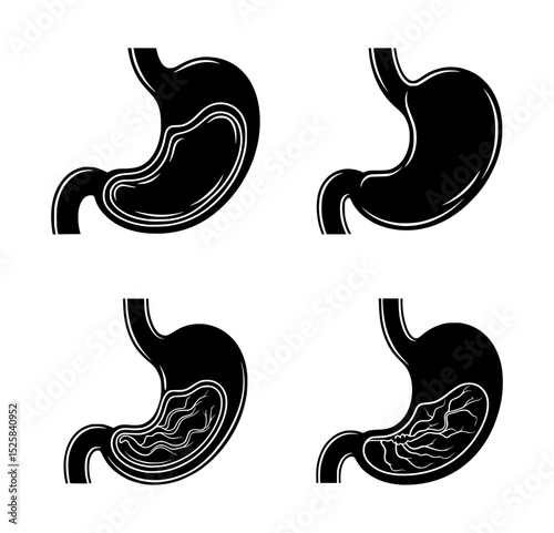 human stomach silhouette set, isolated background