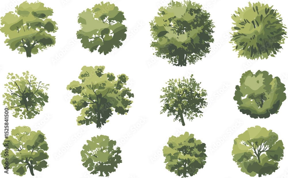 Top view green trees, landscape foliage collection, tree crown illustration, garden design elements, nature map assets, eco plant vector clipart