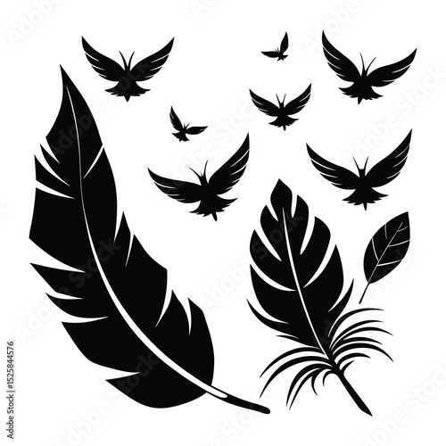 Feather birds svg