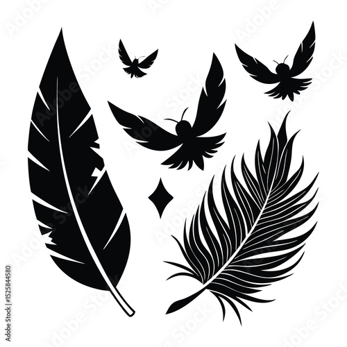 Feather birds svg