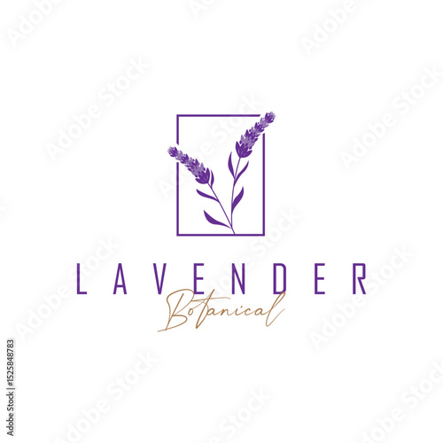 lavender flower design, lavender logo concept, aromatherapy plant for health and perfume, with modern simplicity as a symbol of a business product brand, also a poster or brand illustration template