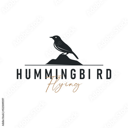 bird logo concept animal design flying freely in the sky hummingbird silhouette with a simple, cool, modern design illustration of a brand symbol template for a business product or poster template