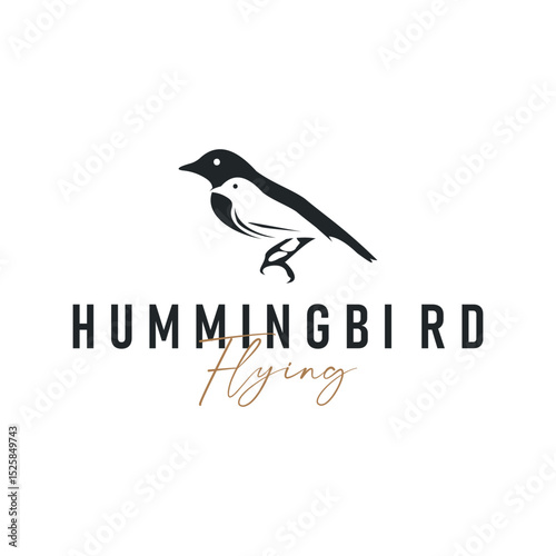 bird logo concept animal design flying freely in the sky hummingbird silhouette with a simple, cool, modern design illustration of a brand symbol template for a business product or poster template