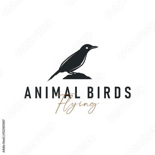bird logo concept animal design flying freely in the sky hummingbird silhouette with a simple, cool, modern design illustration of a brand symbol template for a business product or poster template