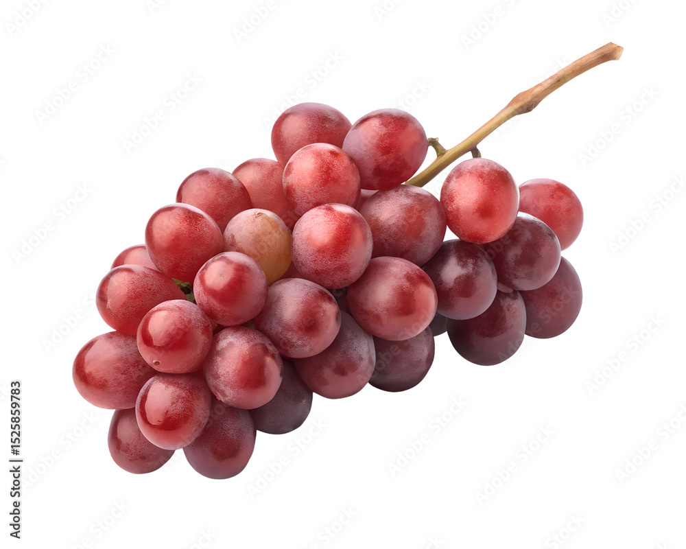 Fototapeta premium cluster of red grapes with glossy skin