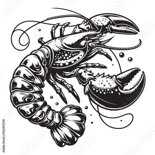 Fresh lobster vector image