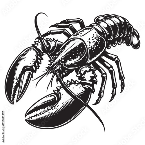 Fresh lobster vector image