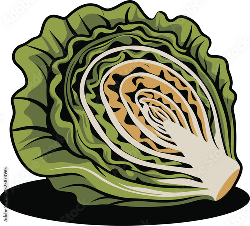 A vibrant illustration of a fresh lettuce, showcasing its layered leaves and crisp texture