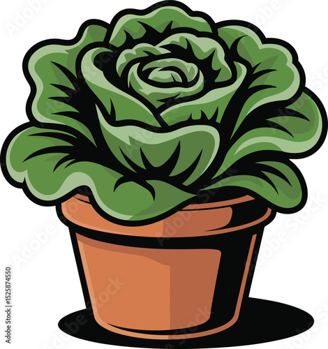 A cartoon drawing of a potted lettuce plant with large green leaves