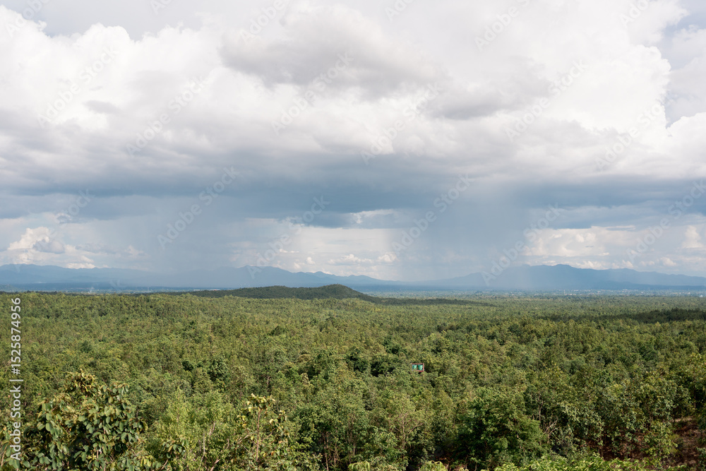 Obraz premium Vast Green Forest Landscape with Distant Rain