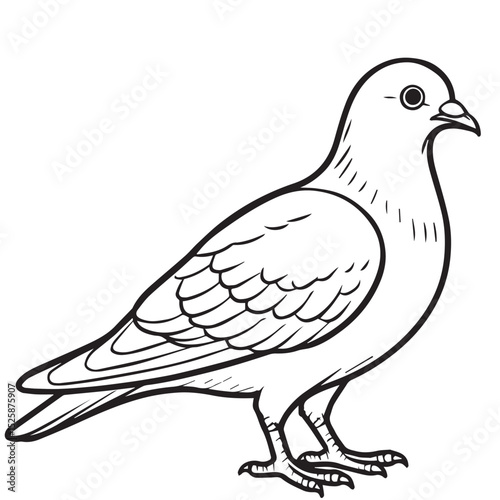 Black and white vector illustration of a pigeon, outlined with bold black lines, featuring simple shapes and minimal detail for a clean design.

