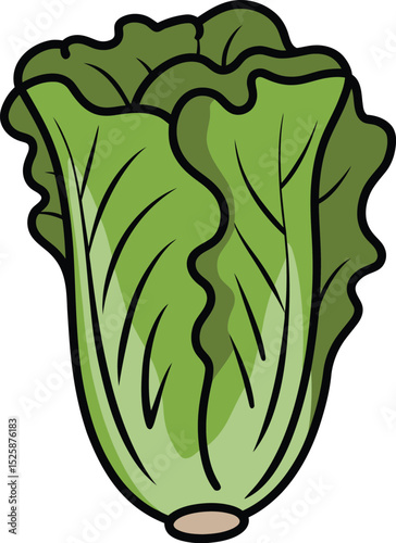 A cartoon drawing of a head of lettuce with large, wavy leaves