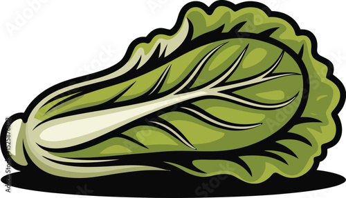 A vibrant illustration of a fresh lettuce, showcasing its leafy green texture and crisp appearance.