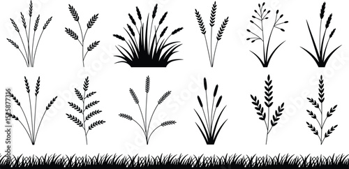 Wild grass and wheat silhouette bundle, black botanical clipart set for natural design, agriculture, harvest, farming, and decoration
