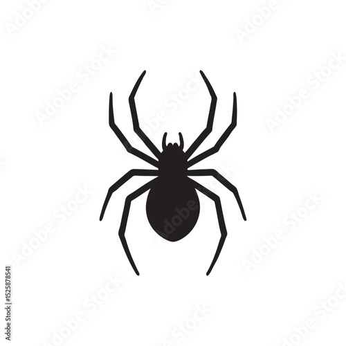 black widow spider