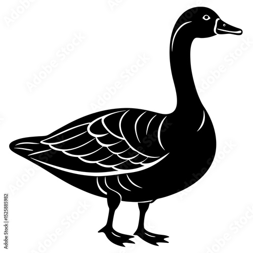 goose isolated on white background