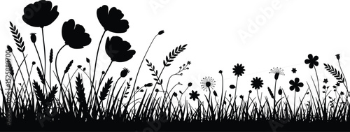 Wildflower and grass silhouette vector illustration, black floral border, spring meadow design, botanical elements on white background, decorative nature art