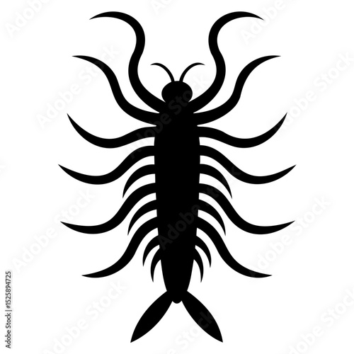 Illustration of a black centipede with many legs and antennae on a white background on transparent background