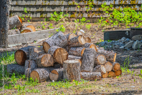 Stack of firewood in front of a house