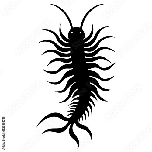 Illustration of a black centipede with many legs and long antennae on white background on transparent background