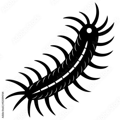 Illustration of a black centipede with many legs and a white background space on transparent background