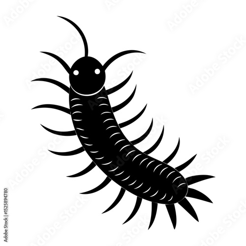 Illustration of a black centipede with many legs and antennae on a white background on transparent background