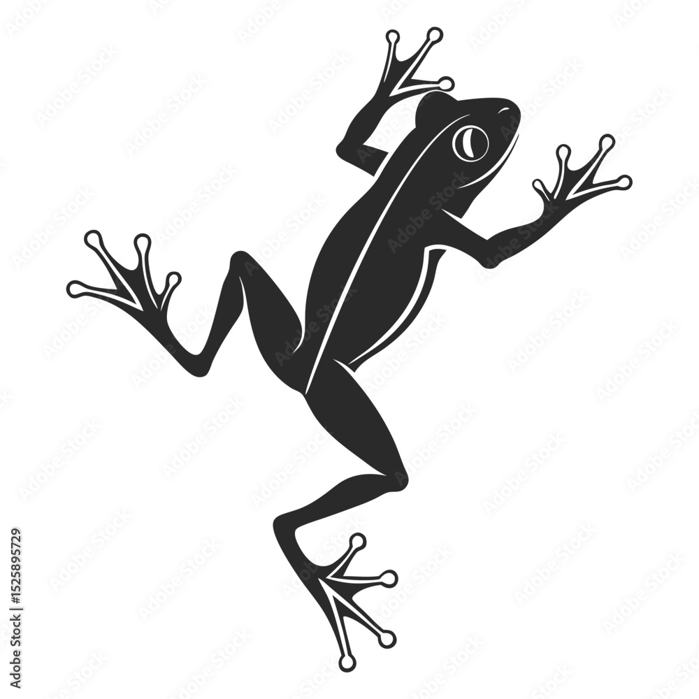 Obraz premium silhouette frog on white background