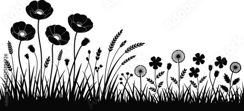 Wild poppy flower and grass silhouette vector, black botanical nature border, spring meadow illustration, floral field artwork, outdoor plant design