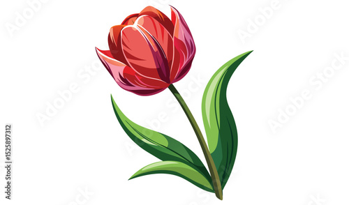 Single red tulip flower with green leaves